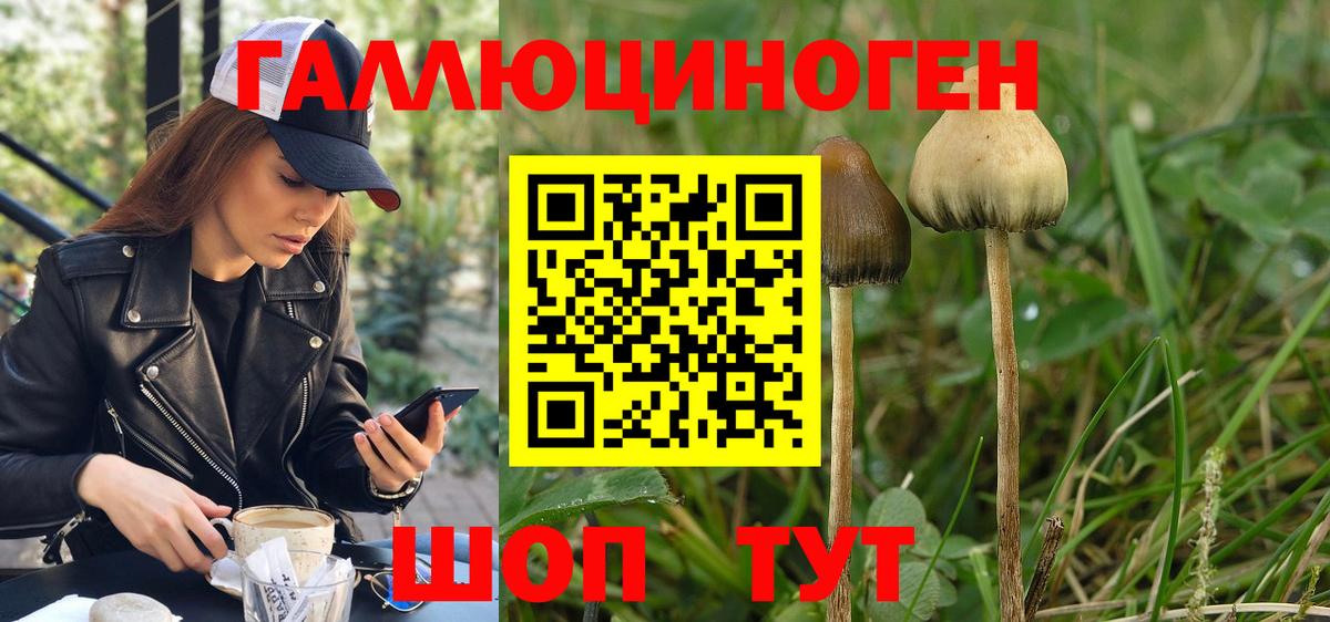 Выкса  Галлюциногенные грибы Cubensis  Псилоцибиновые грибы Cubensis  Вход с VPN 